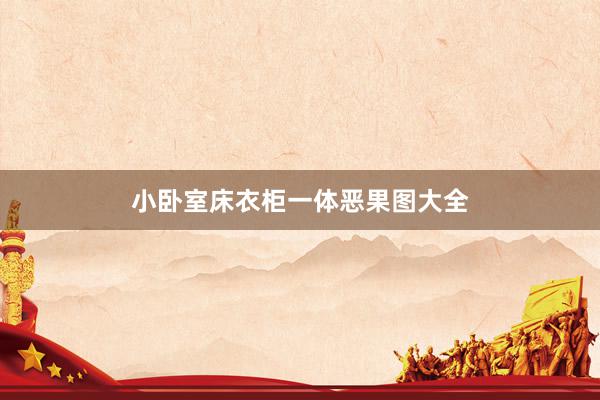小卧室床衣柜一体恶果图大全